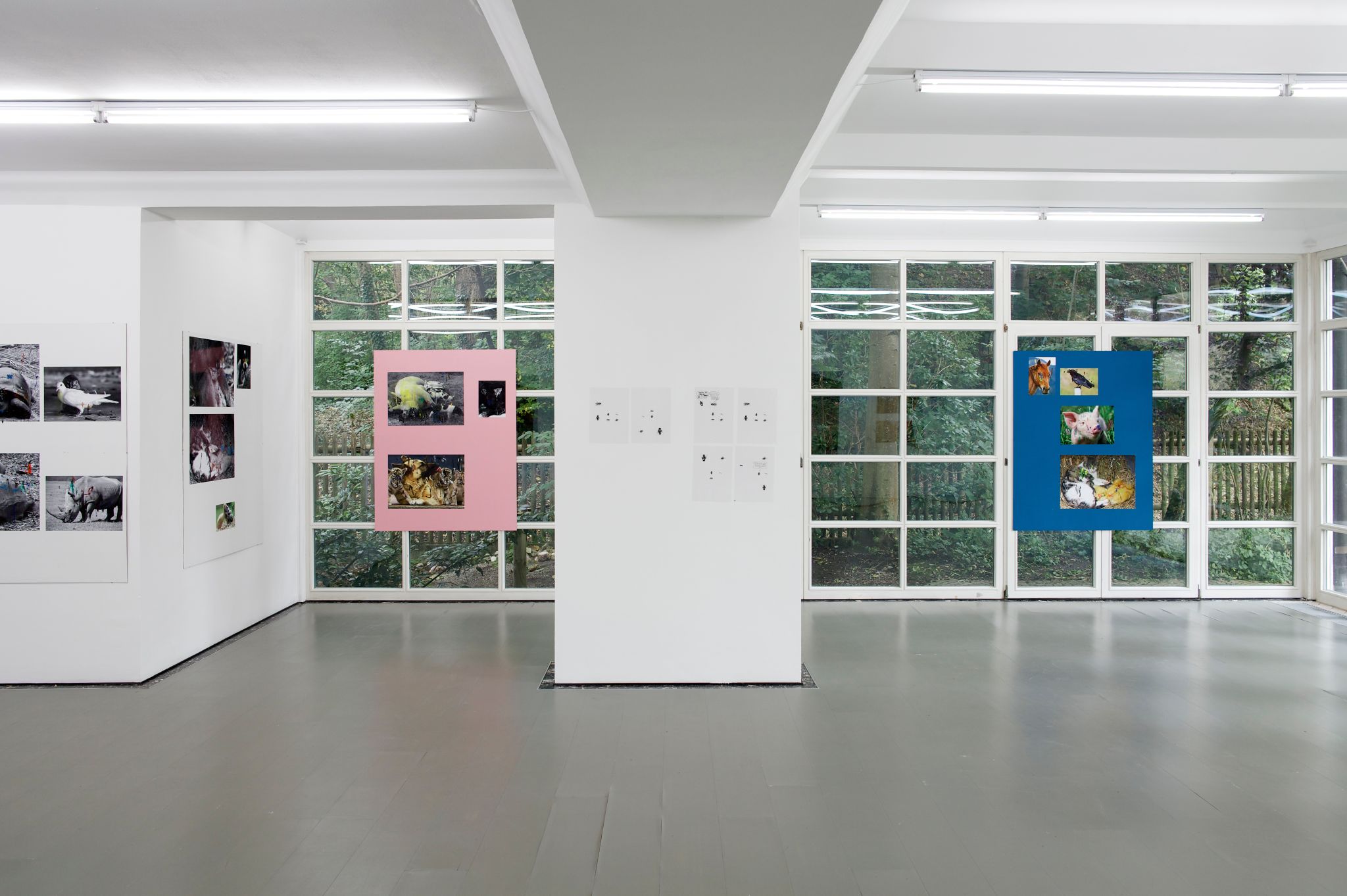 Installation view, Henrik Olesen, Companion Species, Deborah Schamoni, 2014