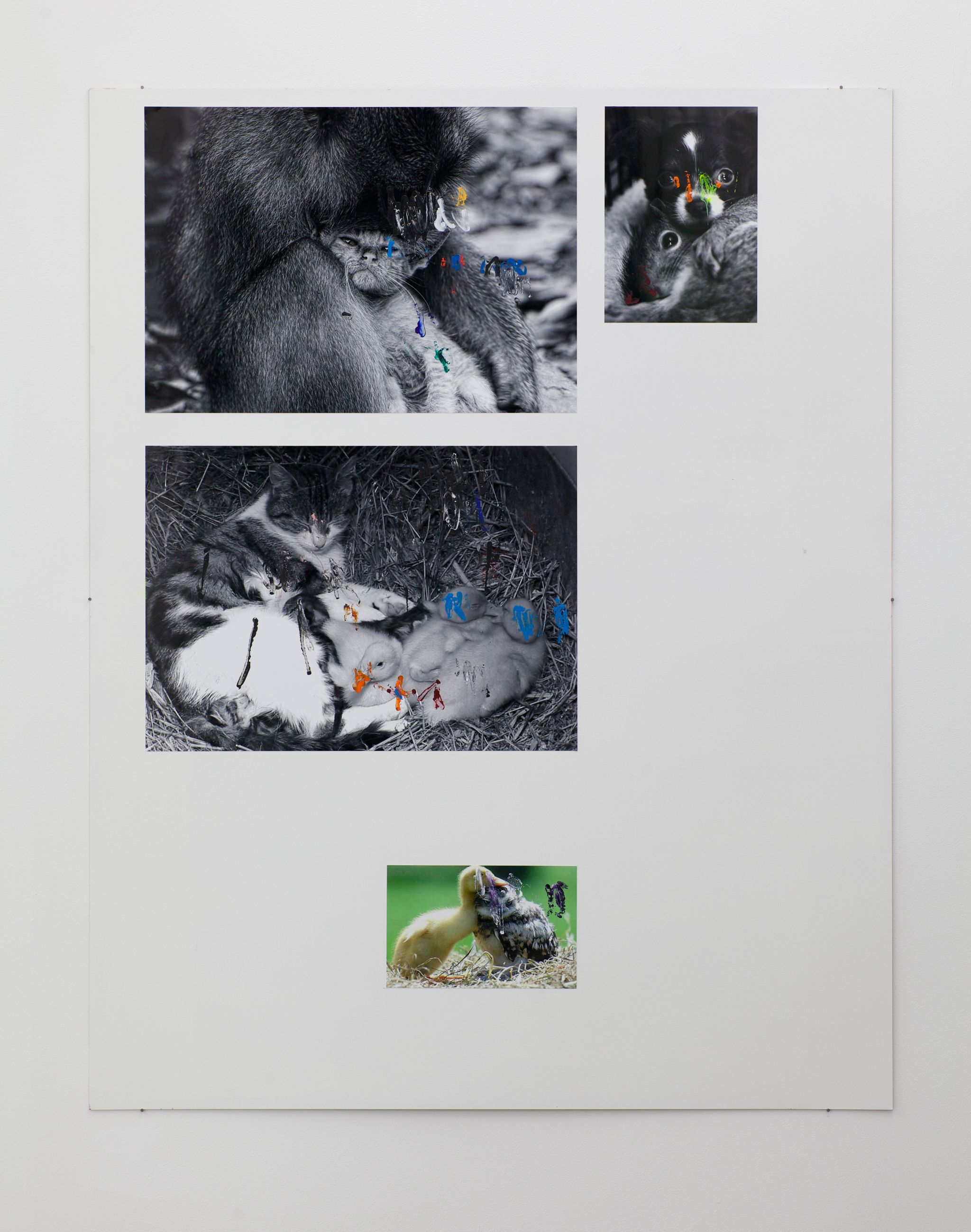 Henrik Olesen, Katze / Affe, 2014, Collage auf MDF, C-Print, Acrylfarbe, Gesso Primer, 140 ⁠× ⁠110 ⁠⁠cm