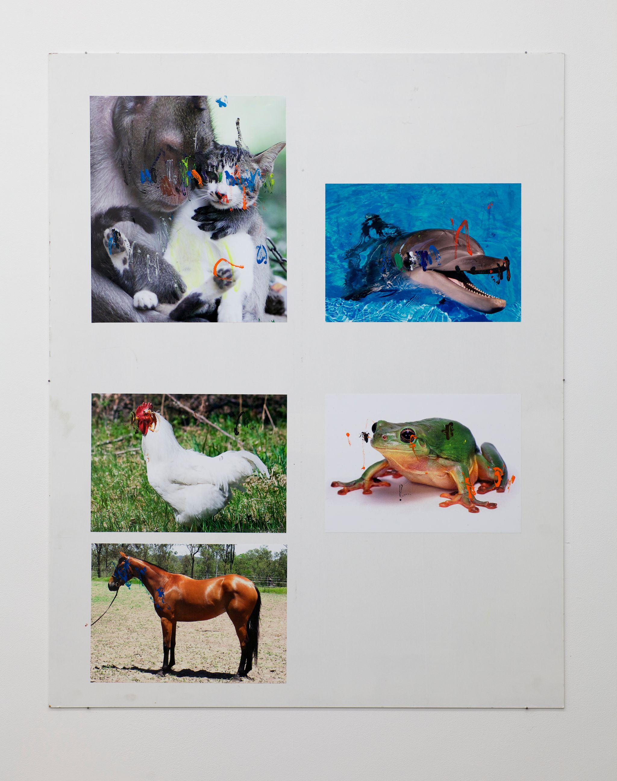 Henrik Olesen, Affe / Katze, 2014, Collage auf MDF, C-Print, Acrylfarbe, Gesso Primer, 140 ⁠× ⁠110 ⁠⁠cm