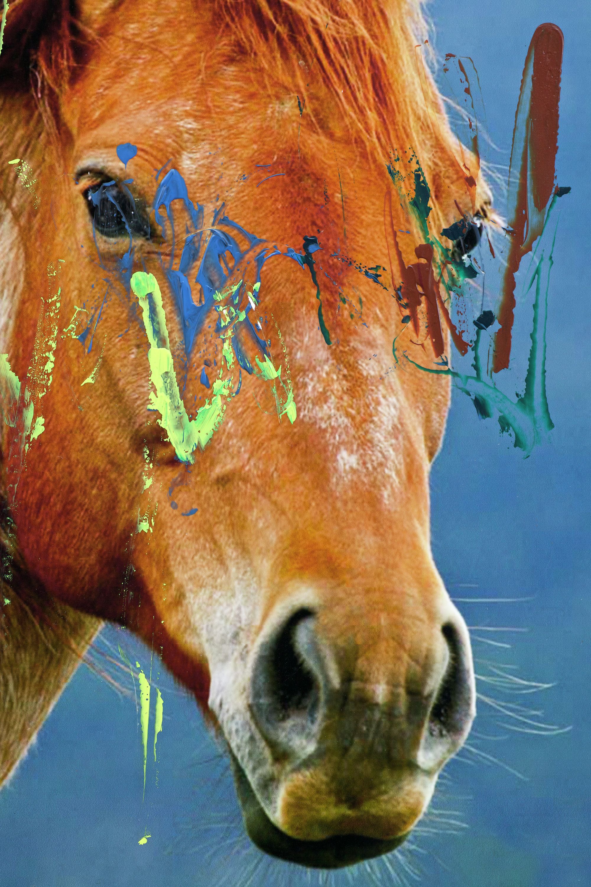 Henrik Olesen, Pferd (detail), 2014, Collage auf MDF, C-Print, Acrylspray, 140 ⁠× ⁠110 ⁠⁠cm