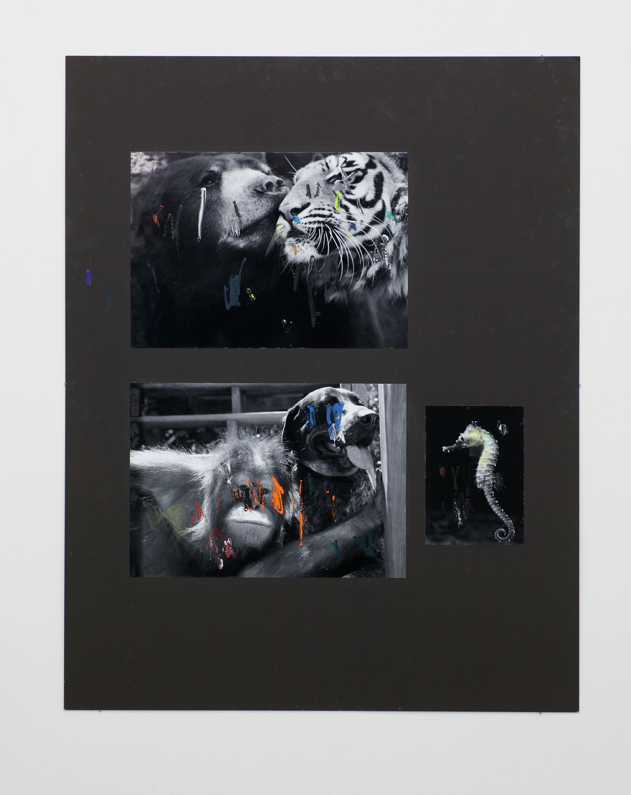 Henrik Olesen, Bär / Tiger, 2014, Collage auf MDF, C-Print, Acrylfarbe, Dispersion, 140 ⁠× ⁠110 ⁠⁠cm