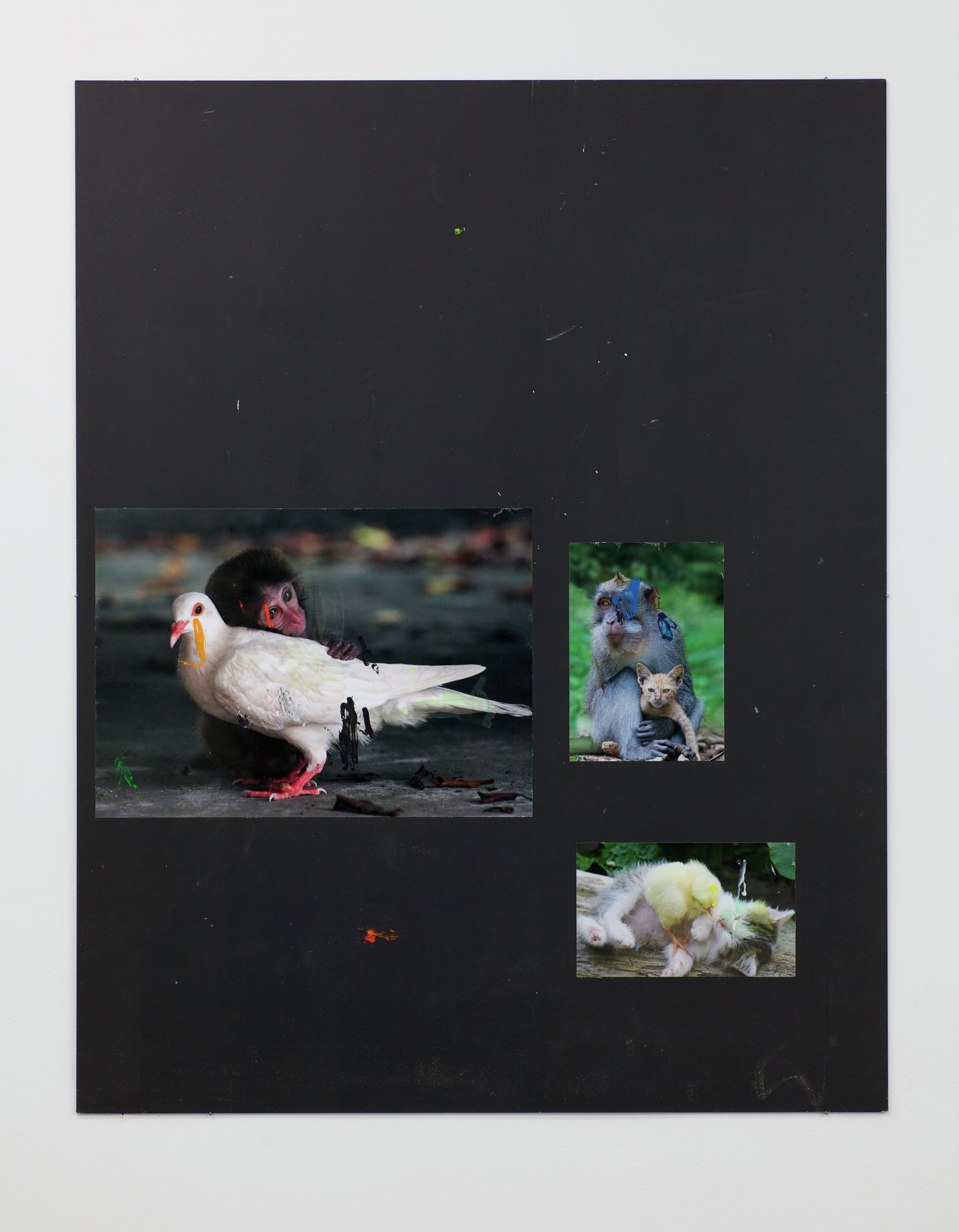 Henrik Olesen, Taube / Affe, 2014, Collage auf MDF, C-Print, Acrylfarbe, Dispersion, 140 ⁠× ⁠110 ⁠⁠cm