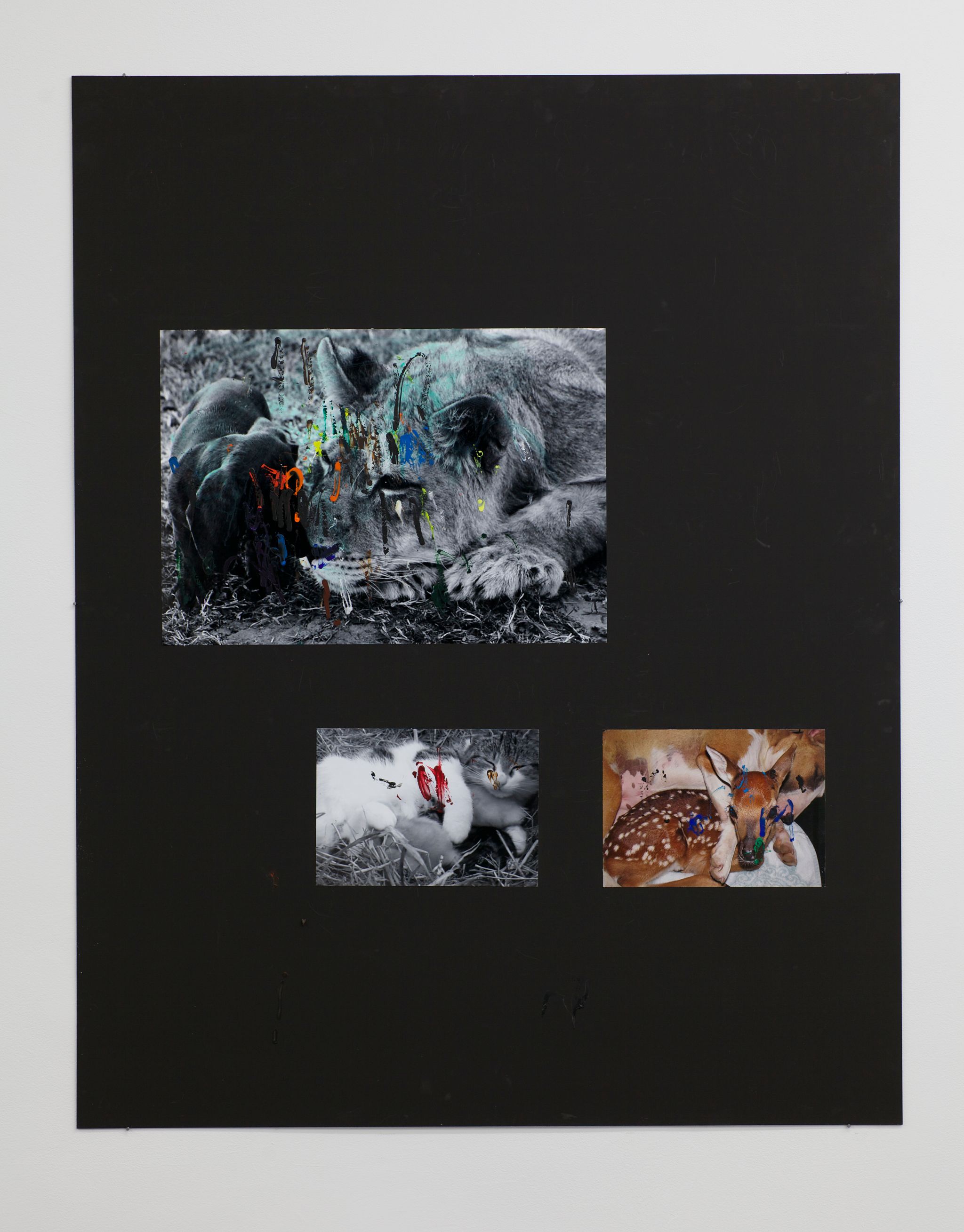 Henrik Olesen, Hund / Löwe, 2014, Collage auf MDF, C-Print, Acrylfarbe, Dispersion, 130 ⁠× ⁠110 ⁠⁠cm