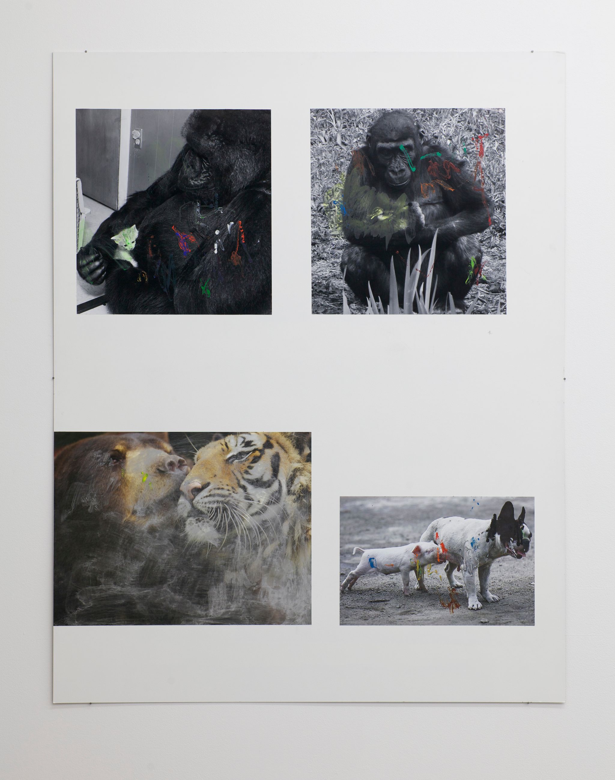 Henrik Olesen, Katze / Gorilla, 2014, Collage auf MDF, C-Print, Acrylfarbe, Gesso Primer, 140 ⁠× ⁠110 ⁠⁠cm