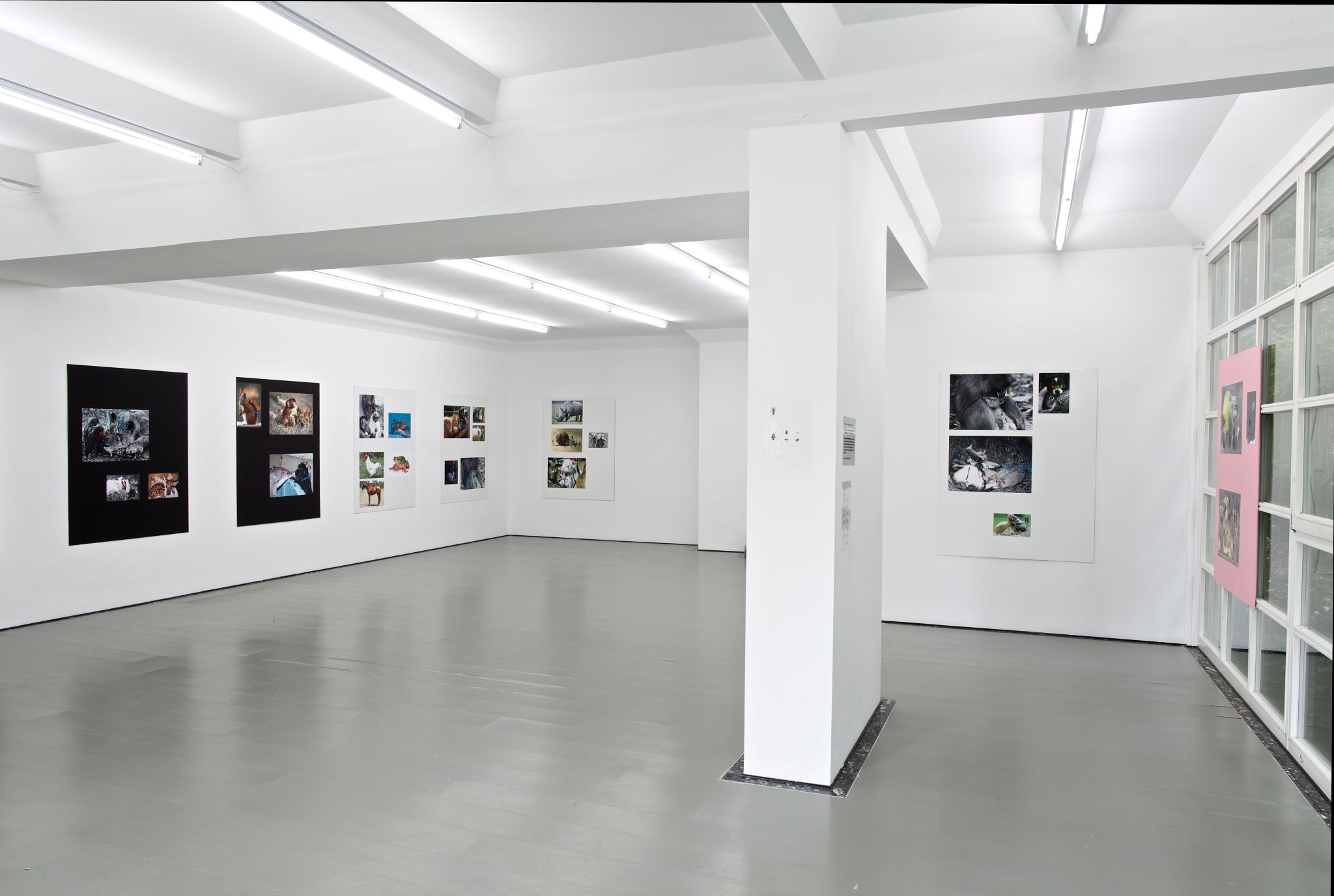 Installation view, Henrik Olesen, Companion Species, Deborah Schamoni, 2014
