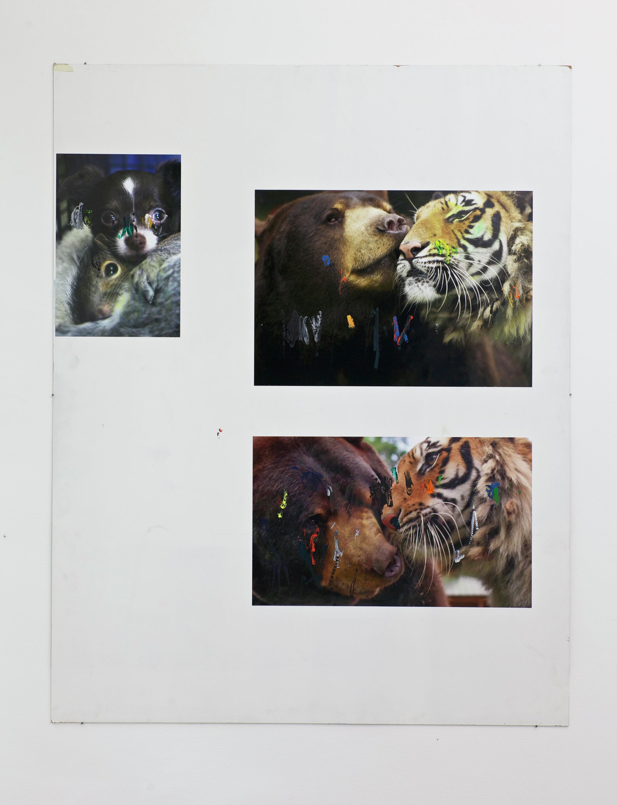 Henrik Olesen, Hund / Eichhörnchen, 2014, Collage auf MDF, C-Print, Acrylfarbe, Gesso Primer, 140 ⁠× ⁠110 ⁠⁠cm