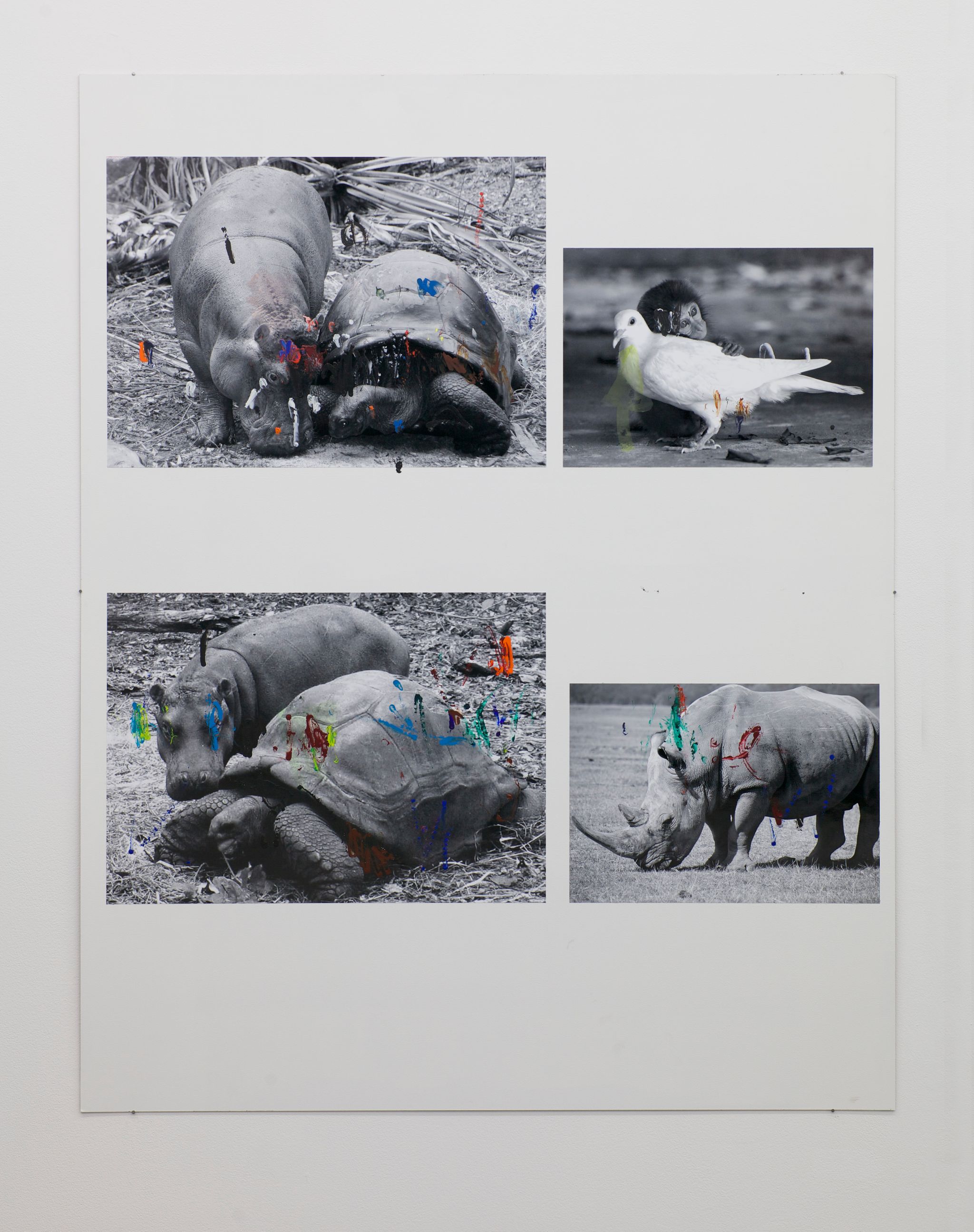 Henrik Olesen, Flusspferd / Schildkröte, 2014, Collage auf MDF, C-Print, Acrylfarbe, Gesso Primer, 140 ⁠× ⁠110 ⁠⁠cm