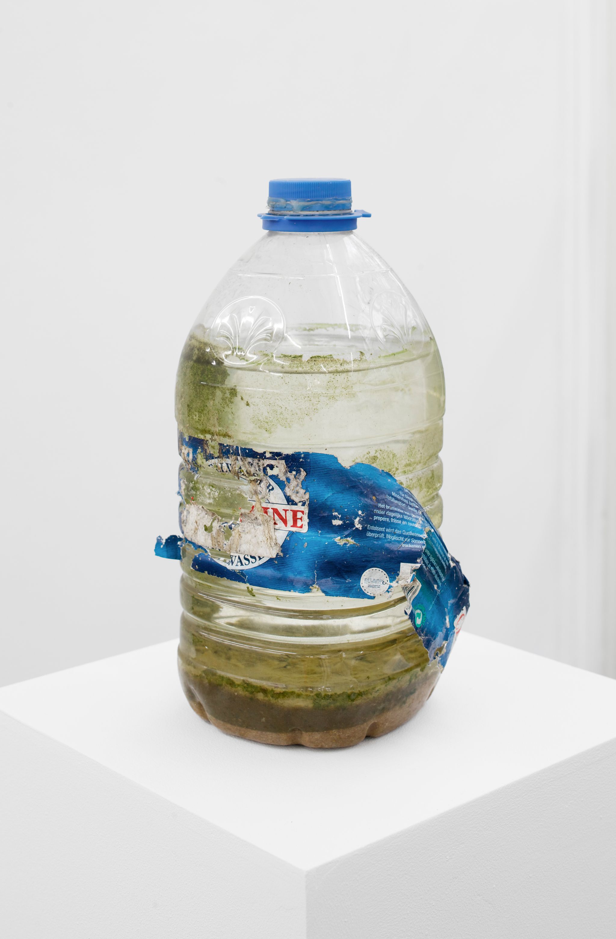 Tue Greenfort, Closed Biosphere (5), 2003, Plastic bottle, water, 35 ⁠× ⁠11 ⁠× ⁠14 ⁠⁠cm