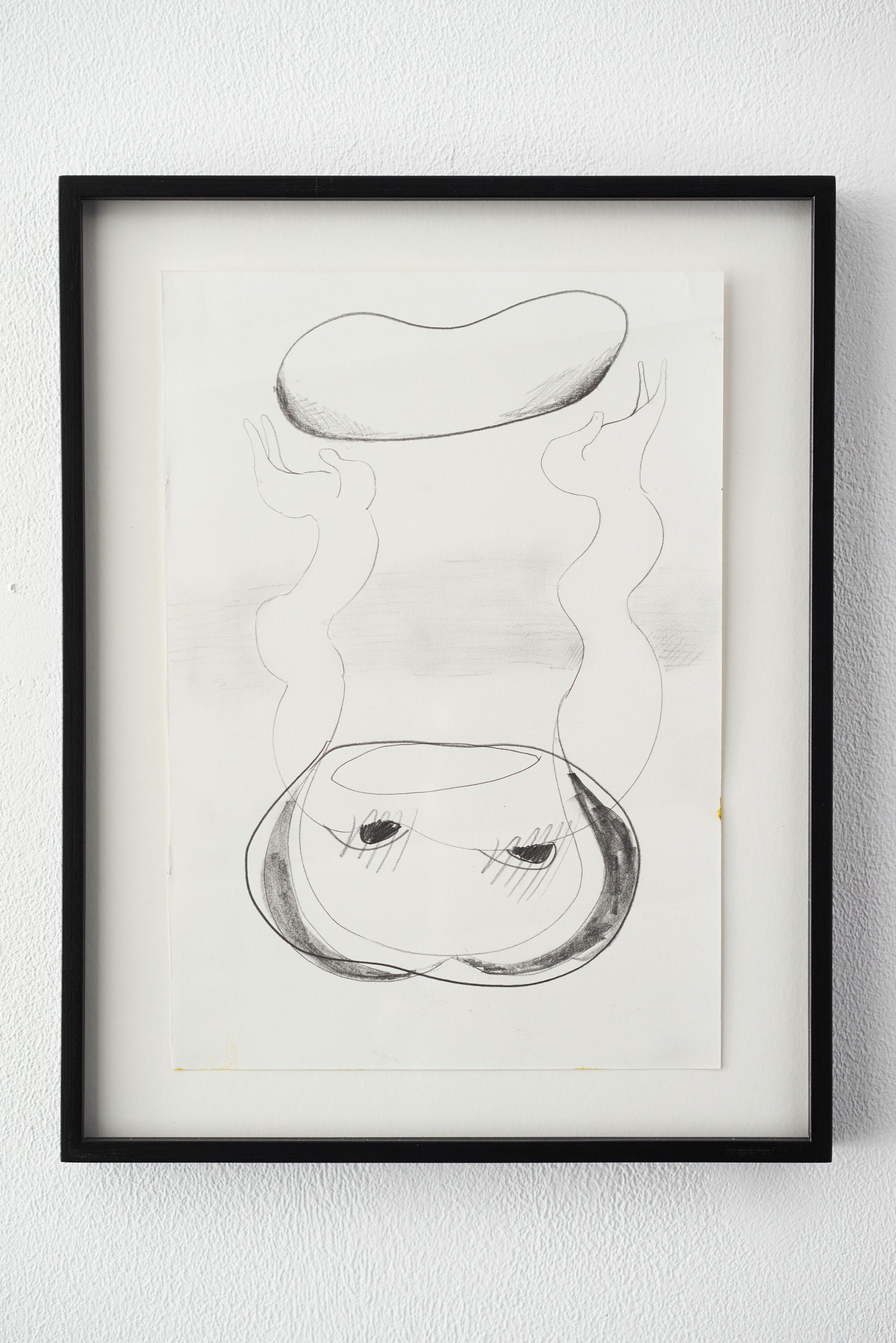 Aileen Murphy, Unbean, 2017, Pencil on paper, 36.5 ⁠× ⁠28.5 ⁠⁠cm