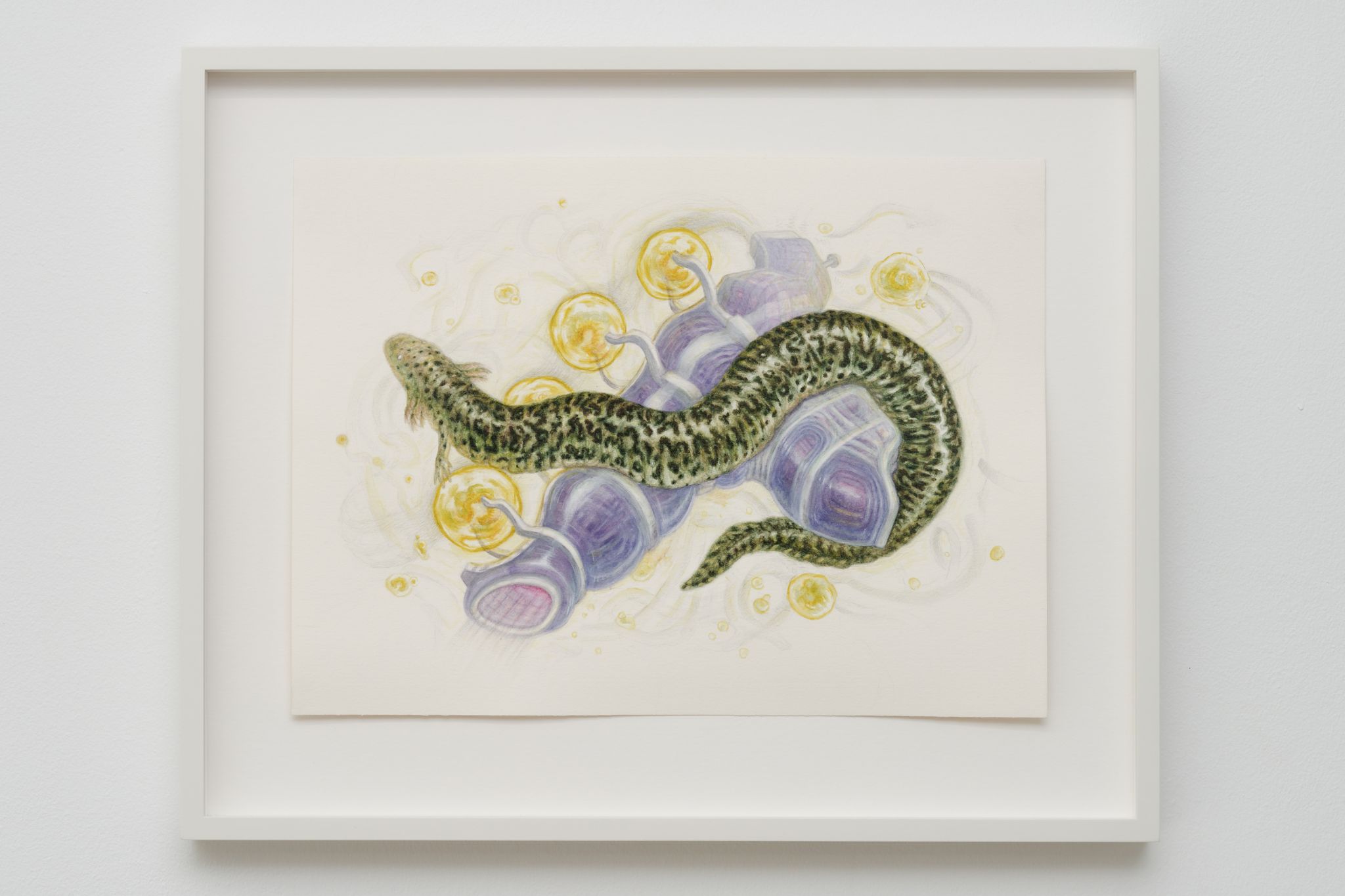 Jonathan Penca, Reticulated siren, 2024, Watercolor, ink, pencil on paper, 33 ⁠× ⁠40 ⁠⁠cm
