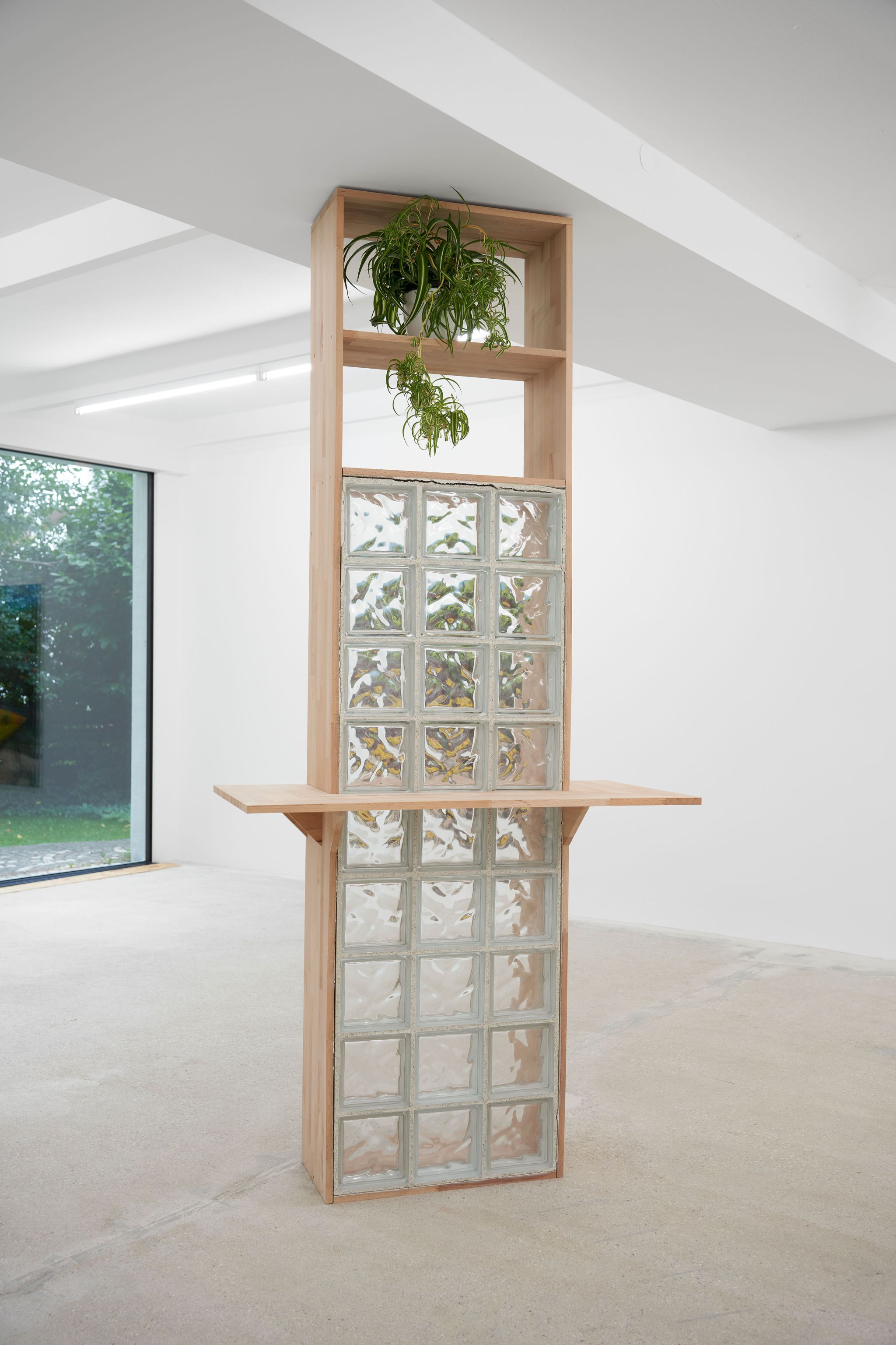 Adam Stamp, Jeder für sich und Gott gegen alle (voll), 2022, Glass, wood, plant, 254 ⁠× ⁠114 ⁠× ⁠55 ⁠⁠cm